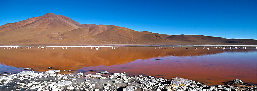 Laguna Colorada